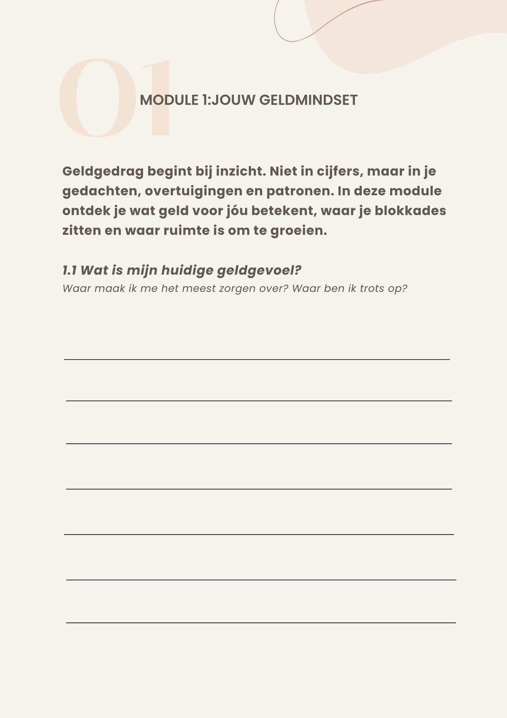 Plan je Poen® - Werkboek