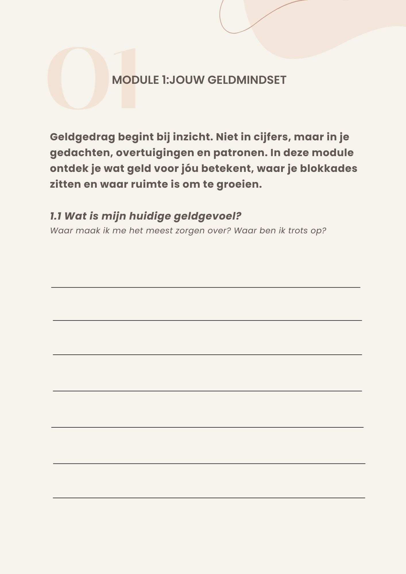 Plan je Poen® - Werkboek